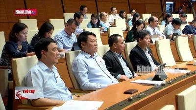 Sẽ xem xét để sớm sửa Luật Tổ chức chính quyền nhân dân