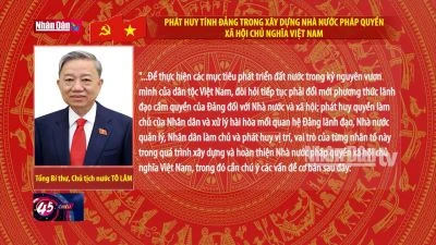 Phát huy tính Đảng trong xây dựng Nhà nước pháp quyền Xã hội chủ nghĩa Việt Nam