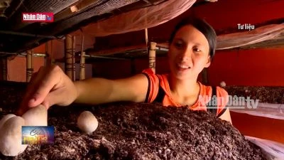 Phụ nữ Việt Nam thời đại mới năng động, sáng tạo