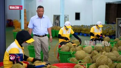 Nông sản Việt rộng cửa sang Trung Quốc