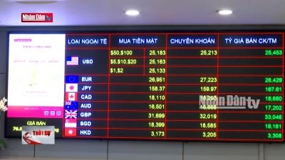 Hơn 13 tấn vàng đã được ngân hàng nhà nước bán ra thị trường