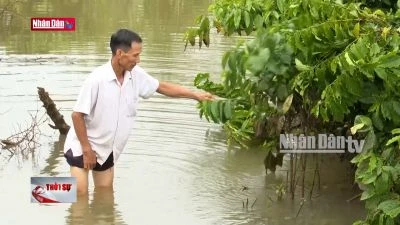 Kon Tum: Thủy điện tích nước gây ngập úng sạt lở đất của các hộ dân