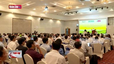 Giải pháp nhân rộng mô hình phát triển một triệu ha lúa phát thải thấp