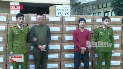 Triệt phá đường dây buôn lậu thuốc lá quy mô lớn tại Đông Anh