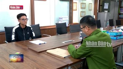 Xử lý mạnh hành vi thao túng, phá đấu giá đất