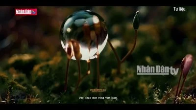 Phát triển công nghiệp điện ảnh từ công nghệ AI