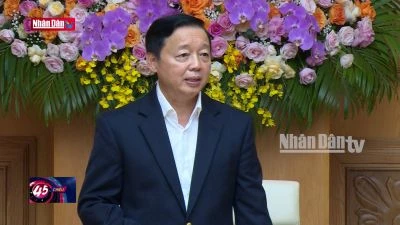 Làm rõ nguyên nhân việc chậm ban hành các văn bản theo thẩm quyền