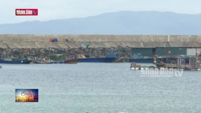 Sớm hoàn thiện khu neo đậu ở đảo Cô Tô