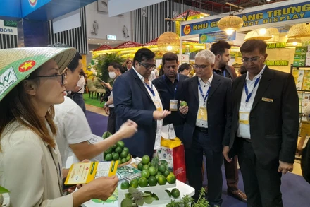 Đại biểu Ấn Độ tham quan và tiềm hiểu sản phẩm chanh không hạt của Long An. 