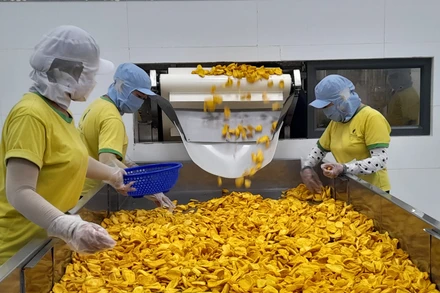 Kim ngạch xuất khẩu hàng hóa của Long An trong 6 tháng đầu năm 2024 tăng 16,5%.