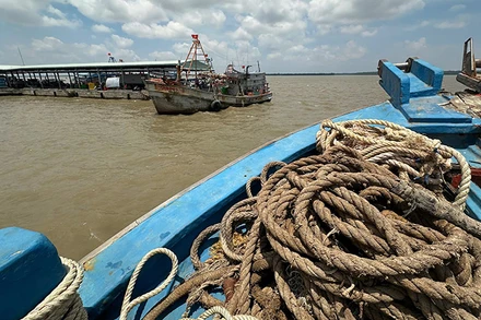 Tàu cá hoạt động tại cảng cá Trần Đề.