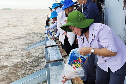 Sóc Trăng thả hơn 1,5 triệu con tôm giống ra biển.