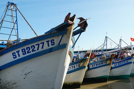 Sóc Trăng bảo đảm 100% tàu cá có đầy đủ giấy tờ, đặt thiết bị VMS theo quy định.