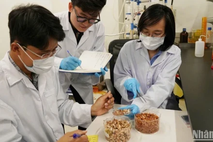 Hoạt động nghiên cứu tại Phòng Công nghệ năng lượng và Môi trường, Viện Khoa học và Công nghệ Việt Nam-Hàn Quốc.