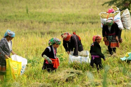 Ảnh minh họa. (Nguồn: Báo Đại đoàn kết)