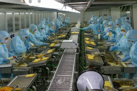 Ảnh minh họa: Công nhân tại Công ty Seavina (Khu công nghiệp Trà Nóc, quận Bình Thủy, thành phố Cần Thơ). (Ảnh: TTXVN)