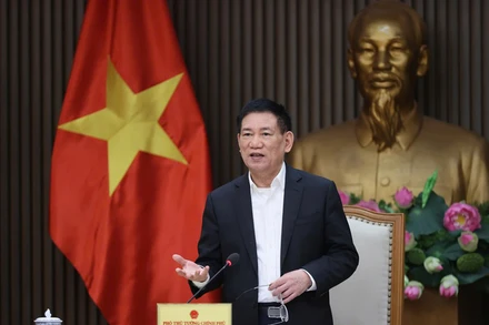 Phó Thủ tướng Hồ Đức Phớc phát biểu kết luận cuộc họp. (Ảnh: VGP)