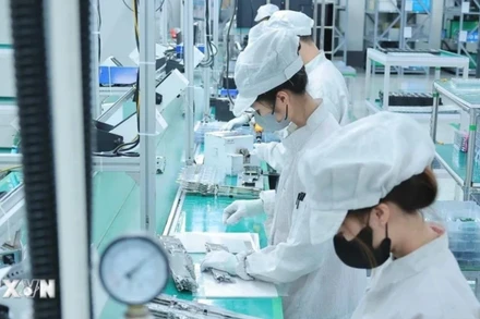 Ảnh minh họa. (Ảnh: Hoàng Hiếu/TTXVN)