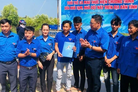 Cà Mau đã thành lập 95 Đội hình thanh niên tình nguyện với 1.244 thành viên tham gia hỗ trợ thực hiện xóa nhà tạm, nhà dột nát tại địa phương, đơn vị. (Ảnh Tỉnh đoàn Cà Mau cung cấp)