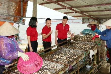 HTX nuôi trồng, thu mua, xuất nhập khẩu thủy hải sản Loan Hoan (Lộc Hà, Hà Tĩnh) nhờ nguồn vốn vay từ Agribank đã có thêm cơ hội mở rộng quy mô sản xuất.