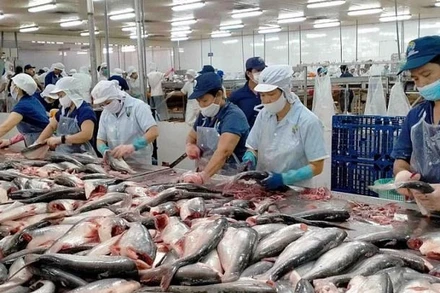 Theo Cục Thủy sản và kiểm ngư, nếu áp thuế đối ứng mức 46% sẽ ảnh hưởng lớn đến chuỗi sản xuất ngành hàng.