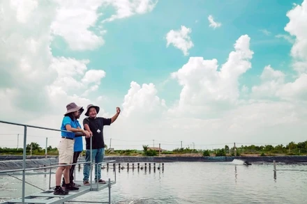 Các chuyên gia thủy sản trao đổi kinh nghiệm tại trang trại nghiên cứu tôm, huyện Cần Giờ, TP Hồ Chí Minh. (Ảnh: THỤC KHUÊ)