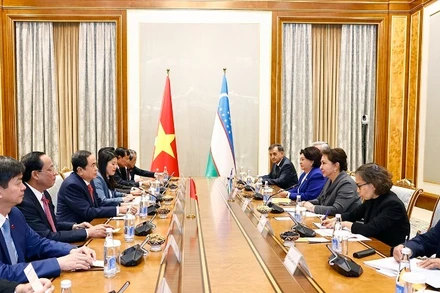 Chủ tịch Quốc hội Trần Thanh Mẫn hội đàm với Chủ tịch Thượng viện Uzbekistan Tanzila Narbaeva. Ảnh: DOÃN TẤN/TTXVN