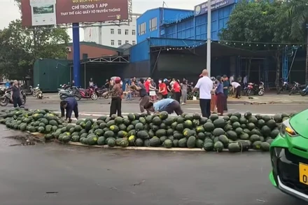 Rất đông người dân hỗ trợ tài xế thu gom dưa hấu. (Ảnh cắt từ video clip)