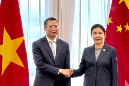 Đại sứ Phạm Thanh Bình bắt tay với Bộ trưởng Hạ Vinh.