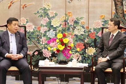 Phó Thủ tướng Chính phủ Nguyễn Chí Dũng (trái) hội kiến với đồng chí Trương Hổ, Phó Tỉnh trưởng Thường trực tỉnh Quảng Đông. 