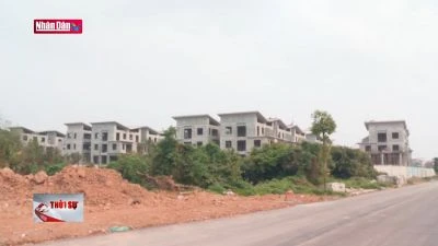 Nhiều bất cập quản lý đất đai cần được tháo gỡ