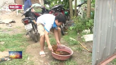 Hà Nội nhiều ổ dịch sốt xuất huyết phức tạp, kéo dài