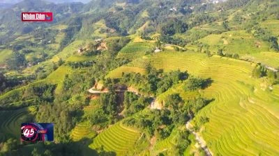 Đưa du lịch ruộng bậc thang trở thành sản phẩm mang tính đặc trưng