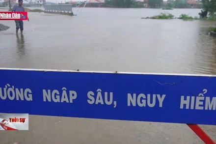 Đà Nẵng và TP Tam Kỳ (Quảng Nam) cho học sinh nghỉ học ngày 16/10