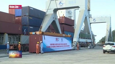 Gia hạn chính sách hỗ trợ đội với hàng hóa đi qua Cảng Chân Mây