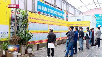 Xây dựng mạng lưới hỗ trợ việc làm cho lao động xuất khẩu về nước