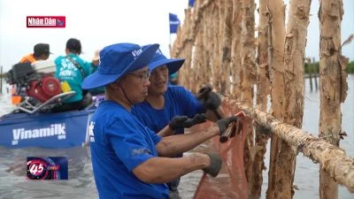 Đồng hành cùng Chính phủ hướng tới Net Zero 2050