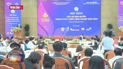 Bảo hộ bản quyền trong phát triển công nghiệp điện ảnh