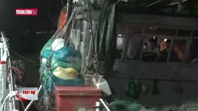 Cứu sống 14 thuyền viên chìm tàu trong thời tiết xấu