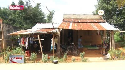 20 năm mòn mỏi chờ cấp giấy chứng nhận quyền sử dụng đất