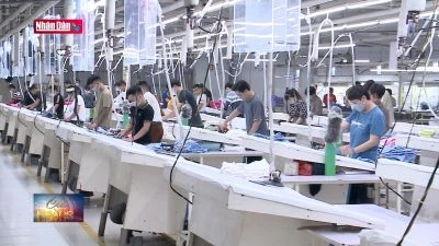 Sẽ có thêm phương án rút Bảo hiểm xã hội một lần