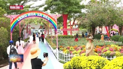 Làng hoa Sa Đéc thay áo mới chào đón Festival