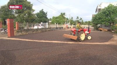 Bình yên nơi buôn làng