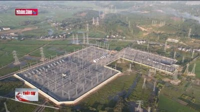 Đề nghị kỷ luật lãnh đạo EVN do để gián đoạn nguồn điện