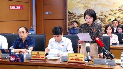 Mức đóng bảo hiểm xã hội nên linh hoạt, phù hợp