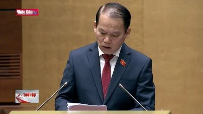 Chung cư mini sẽ được cấp sổ hồng