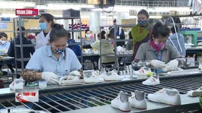 Thực thi ESG - "Chìa khóa" nâng cao năng lực cạnh tranh của doanh nghiệp