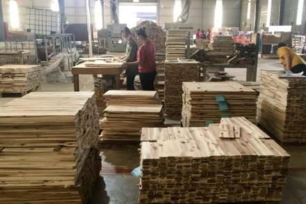 Sản xuất gỗ xuất khẩu tại Công ty cổ phần gỗ TAVICO (tỉnh Đồng Nai). (Ảnh VŨ HOÀNG)