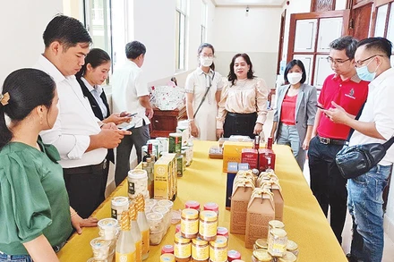 Đánh giá, xếp loại sản phẩm OCOP trên địa bàn tỉnh Tiền Giang.