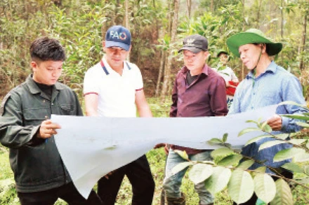 Nhân viên Văn phòng Đăng ký đất đai tỉnh Yên Bái thực hiện nhiệm vụ đo đạc tại thành phố Yên Bái.